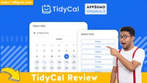 TidyCal Review