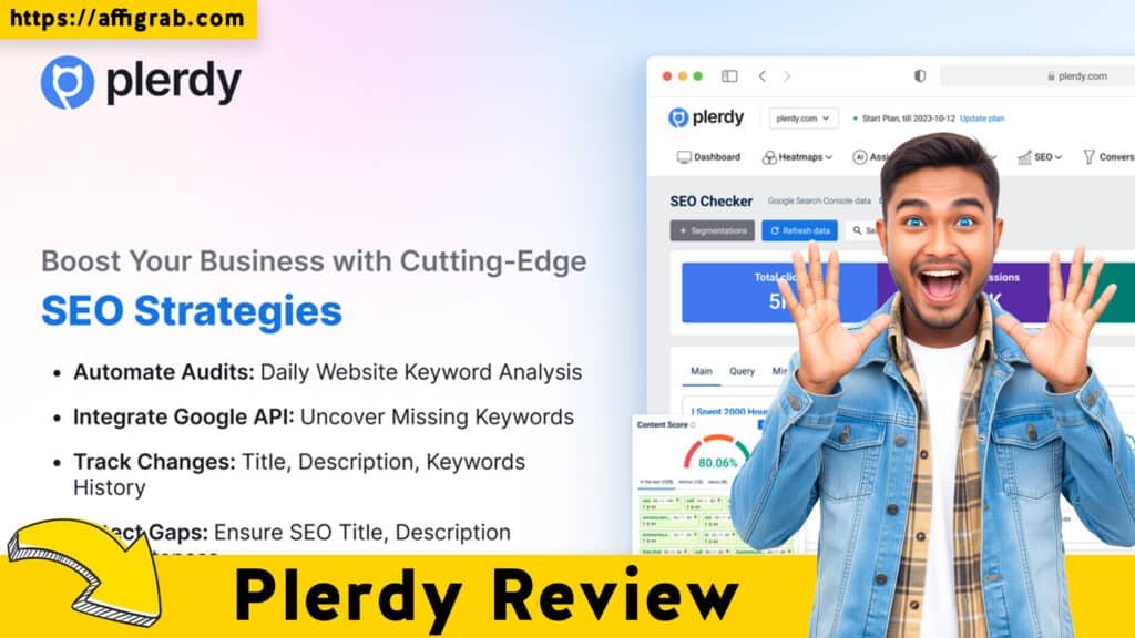 Plerdy Review