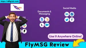 FlyMSG Review