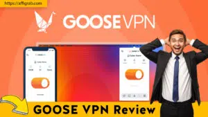 GOOSE VPN Review