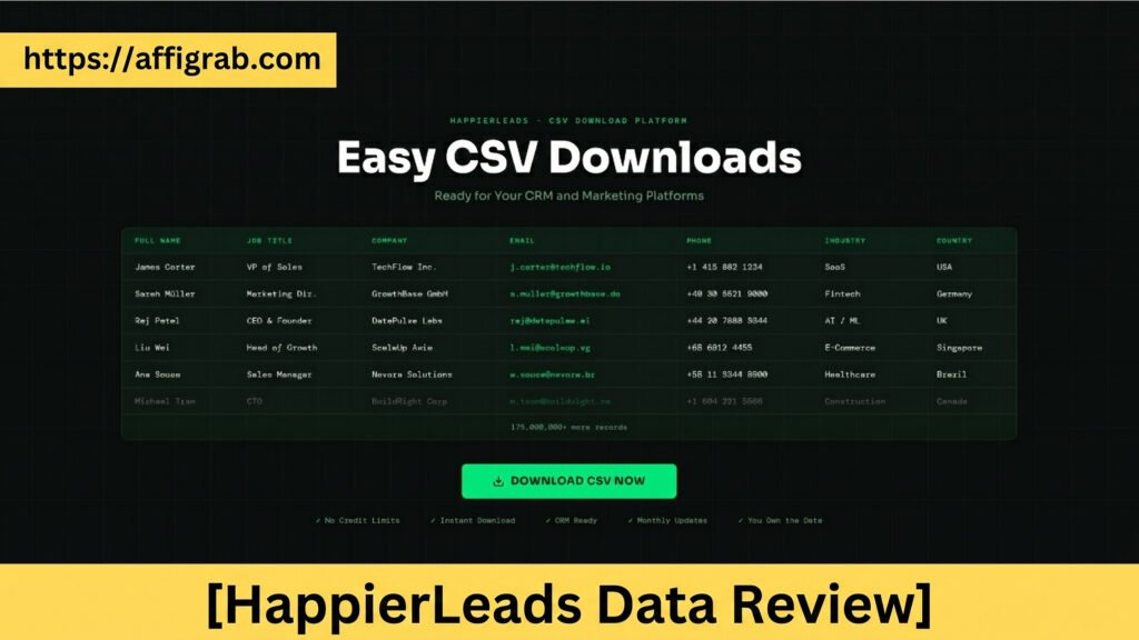 HappierLeads Data Review